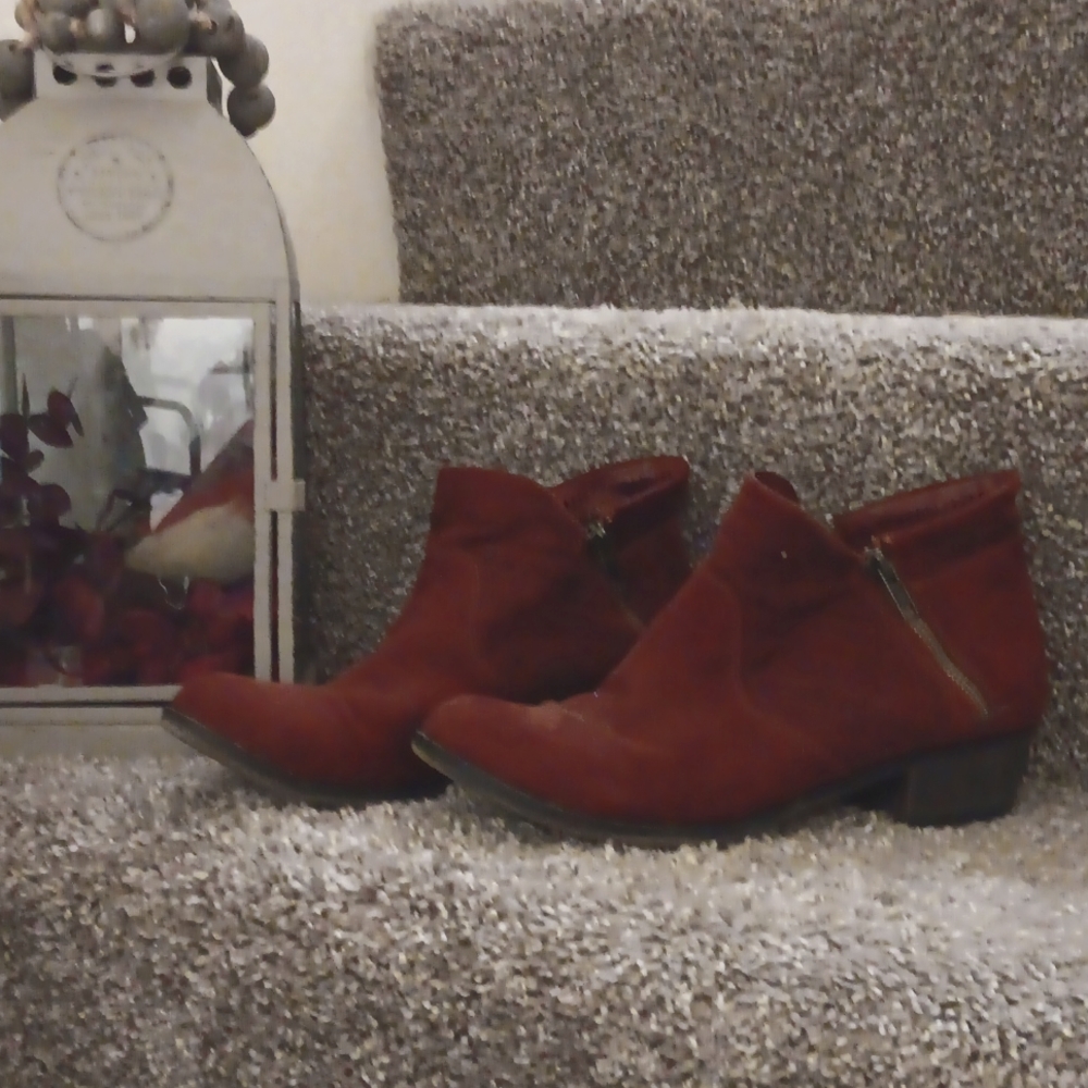 American Rag's stylish size 9 ankle boots.